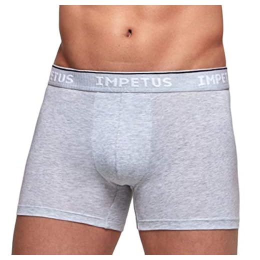 Impetus France Organic Culotte, Gris, XL para Hombre