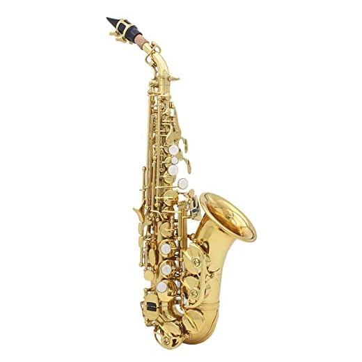 Saxofón, espina curva de latón con patrón tallado, instrumento soprano, incluye funda, guantes, paño de limpieza y cinturón