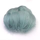 Le paquet comprend : 100 plumes colorées, répondent à toutes vos exigences quantitatives.