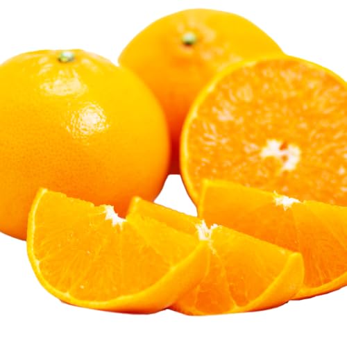 訳あり 愛媛県産せとか 柑橘 みかん フルーツ (合計約1.5kg)