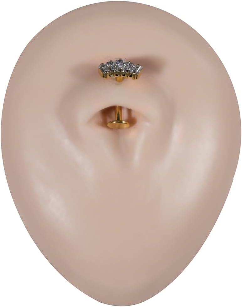 G23 Grade Titanium Crown Shape Cz Gemstones Push Fit Top 14 Gauge - 8mm, 10mm Length Lip Labret Rings Floating Belly Button Piercing Body Jewelry