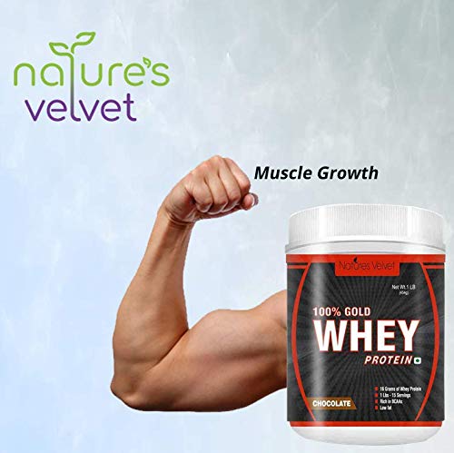 Image of Natures Velvet Lifecare Gold Standard 100% Whey, Double Rich Chocolate, 1lb - Pack of 2