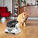 AsrMyjcx Cámara Robot con detección de Movimiento Imagen de AsrMyjcx Cámara Robot con detección de Movimiento