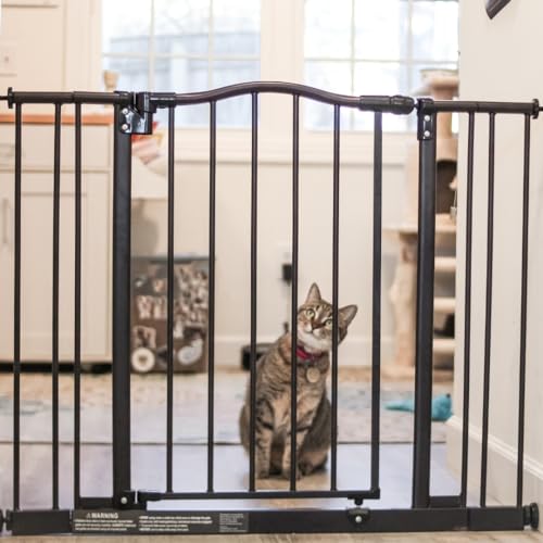 MYPET North States Windsor Arch Pet Gate: 28.25\"-38.25\" Wide Dog Gate. Pressure Mount, No tools needed. Dog Gates for the house, 28.5\" Tall, Matte Bronze