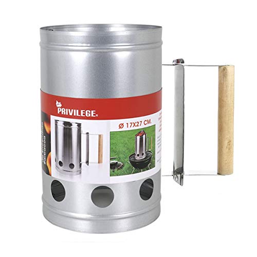 Encendedor de carbón para barbacoa Para encender la parrilla Arrancador Chimenea Chimenea de 27 x 17 cm. Chimenea de encendido Parrilla (GRIS)
