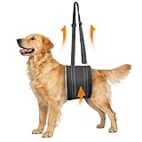 Adjustable Dog Lift Harness, Hind Leg Support Sling for Weak Rear Legs, Soft Lift and Rehab Harness Helps Senior, Injured, Disabled and Post-ACL Surgery Dogs(L)