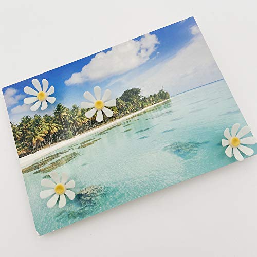 Haidong 20 Pcs Cute Unique Silicone Flower Thumbtack Decorative Push Pins Small Fixed Paper File Photo Note Memo Accessory Nail Cork Board Foam Board Bulletin Board Drawing Pins Office Supplies