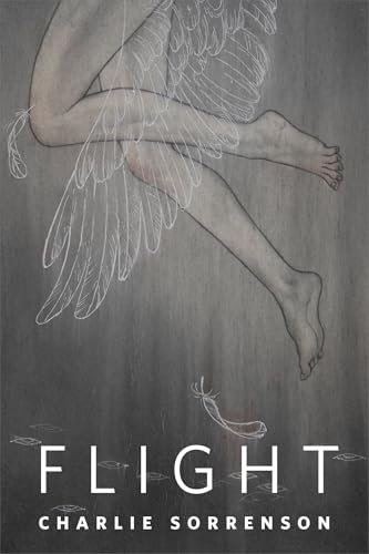 Flight: A Tor.com Original view 2