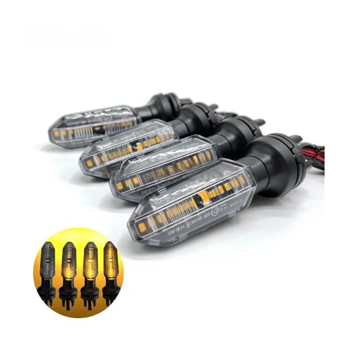 Indicateur de Débit d'Eau Moto LED et Lampes Flèches - 2