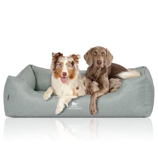 Knuffelwuff Orthopädisches Hundebett XXL Luisa Hundekorb Hundesofa Hundekissen Hundekörbchen waschbar Petrol Grün 120 x 85cm grosse Hunde
