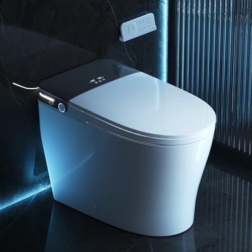 DeerValley Smart Bidet Toilet, Modern Elongated Tankless One Piece Toilet