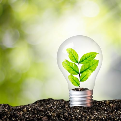 Plugging Into Nature: When Organic Plants Generate Electricity Podcast Por  arte de portada