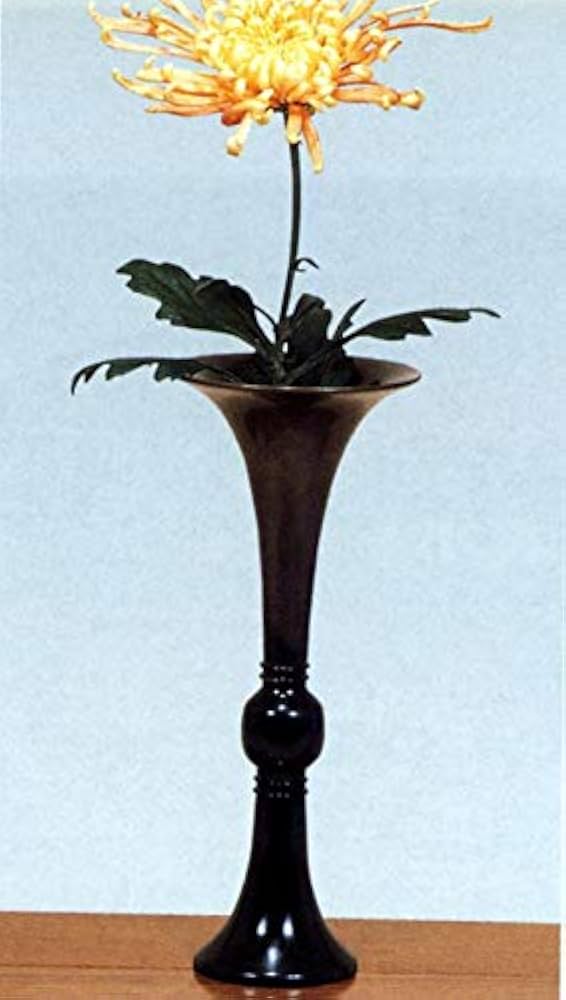 Amazon.co.jp: 花器 花瓶 茶花入 ラッパ (周素瓢) 青銅