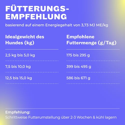 HEY HOLY Premium Nassfutter für kleine Jagdhunde 100% getreidefrei | 6X 200g Hundefutter für ausgewachsene kleine Jagdhunde mit Rind | Hochverträglich aus natürlichen Zutaten