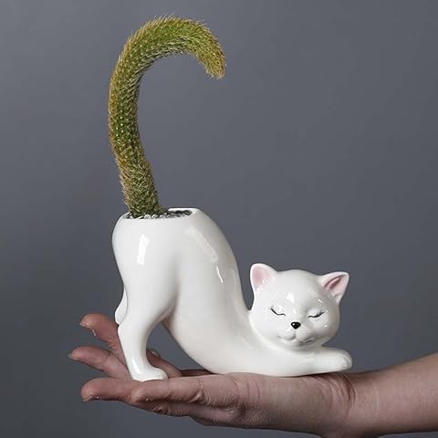 Ceramic Tailless Cat Succulent Pots, Cute Funny Kitty Planter, Creative Plant Pots for All House Plants, Succulents, Flowers, Cactus, for Indoors Outdoor Office Home Garden Kitchen Decor (White) Cover
