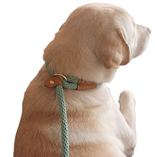 Slip Leads For Dogs 6Ft, Rope Slip Leash, Slip Rope Soft Leash, Easy To Use Slip Leash Collar Combo #TOP6