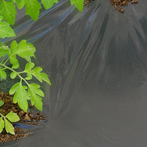 TENAX Film de Paillage Dot Cover 1,50x20 m Noir, Film Micro Perforé Perméable Anti-Mauvaises Herbes pour Paillage, Idéal pour Potager, pour Légumes et Fraises