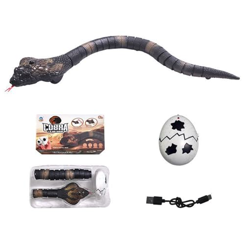 C^NeBueB[U[qLZT[ROVуANZT[L̂