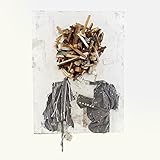 adagio [feat. Manchester Orchestra]