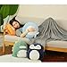 Hofun4U Penguin Stuffed Animal 16 Inch, Blanket in Cute Plush Pillow, Girls Boys Gifts for Birthday Christmas, Travel