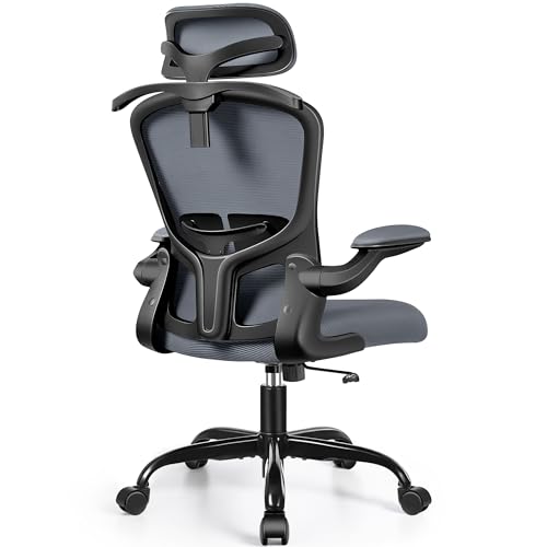 FelixKing Ergonomic Office Desk Chair with Headrest, Adjustable Lumbar Support, Height and Swivel, Comfy Task Chair with Flip-up Armrests, Ergo Mesh Backrest for Working Dark Gray