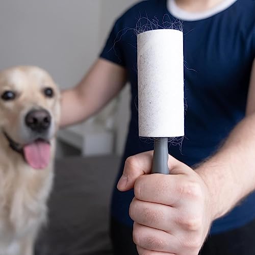 Image of House of Quirk Lint Rollers Reusable Sticky Picker Cleaner Roller with Pet Hair Remover Brush 10cm Sheet 60 Sheets 1 Roll + 1 Pet Brush (Multi Leaf)