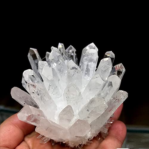 Loverain 1lb Natural Raw Quartz Crystal Cluster Healing Stones Crystal Point Specimen Home Decoration Raw Crystals (White Crystal Cluster)