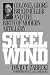 Steel Wind: Colonel Georg Bruchmuller and the Birth of Modern Artillery