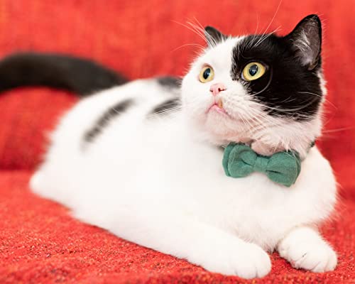 Gyapet Collar For Cats Pets Breakaway With Bell Bowtie Floral Bow Detachable Adjustable Safety Puppy 2Pcs Christmas-B #TOP5