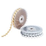 NBEADS 32.8 Yards 2 Rolls Star Theme Ribbon Lace Trims, 0.61' Width Golden/Silver Glitter Polyester...