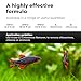 Brightwell Aquatics Erase-Cl - Chloramine, Chlorine and Ammonia Remover - Aquarium Water Conditioner for Salt and Freshwater Fish Tanks - Aquarium Water Treatments, 16.9 fl oz