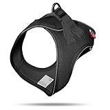 Vest Harness D-Ring Buckle Black 2XS