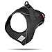 Vest Harness D-Ring Buckle Black 2XS