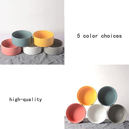 Ciotola per cani in ceramica personalizzata con