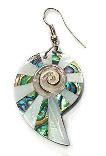 Iridescent Paua Abalone Shell Earrings, Natural Mother of Pearl, Handmade Dangle Drop Abalone Seashell Earrings for Women Fashion Jewelry BA2682