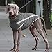 Idepet Wasserdichter Hundemantel Winter Warme Jacke, Winddichte Haustierkleidung Hundejacke Outfit für kleine mittelgroße Hunde mit Geschirrloch XL-6XL