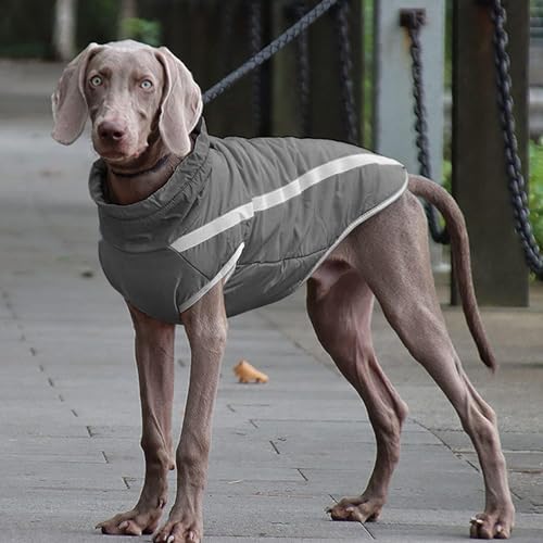 Idepet Wasserdichter Hundemantel Winter Warme Jacke, Winddichte Haustierkleidung Hundejacke Outfit für kleine mittelgroße Hunde mit Geschirrloch XL-6XL