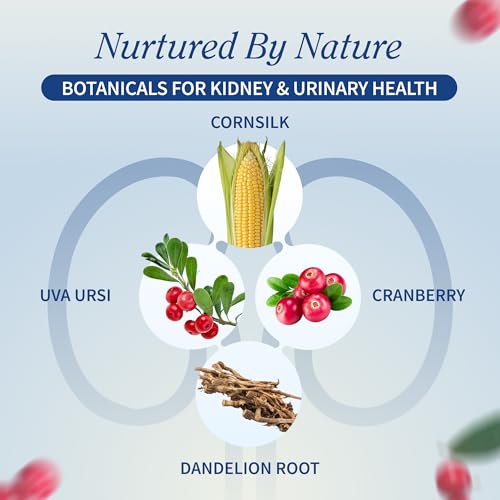 Snap Supplements Kidney Health Support