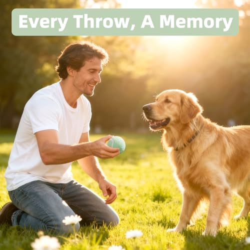 Image of Sunraymascota 6-Pack Tennis Balls for Dogs Fetch Toys,for Beginner Practice