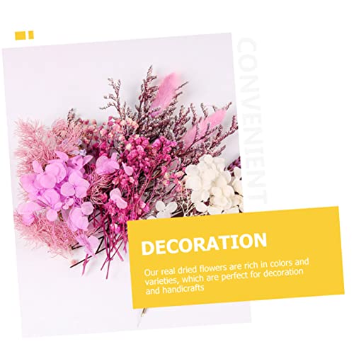 Paquete de material de flores secas para manualidades DIY miniatura 5