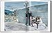 Helmut Newton. A Gun for Hire (Photo Books S.) (Multilingual Edition)