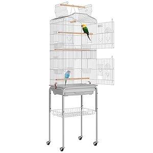 VIVOHOME 64 Inch Bird Cage with Play Top and Rolling Stand for Parrots Conures Lovebird Cockatiel Parakeets Gray