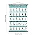 Chair Yoga Pose Chart, Exercise Instruction Art Canvas Printing | Foldable Multiple Poses Wall Mount | Chair Workout Chart Pilates Poster | for Fitness Stretching Mobility Workout Training Home Gym