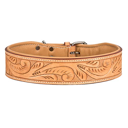 MICHUR Felipe Hundehalsband Leder, Lederhalsband Hund, Halsband, Leder, Caramel, Beige, 55