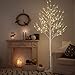 LIGHTSHARE 8FT 132 LED Birch Tree,Home,Festival,Party,Christmas,Indoor and Outdoor Use,Warm White