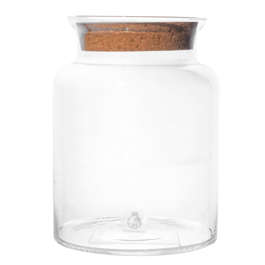 25cm Closed Glass Terrarium - Handmade Glass Container for Plants, Herbs, Succulents - Includes Cork Lid for Sealed Moisture - For Home Decor and Mini Gardens (with Standard Lid)
