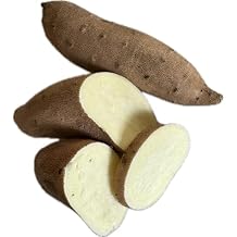 2 Pound Fresh White Sweet Potatoes Yams - White Flesh - Yam Produce