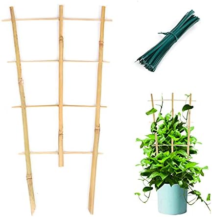 Cambaverd 3 Pack Min Bamboo Trellis 16 in Fan -Shaped Plant Support Trellis with Twist Ties for Indoor Mini Climbing Plants Hoya Potted Plants House Plants Vine Ivy