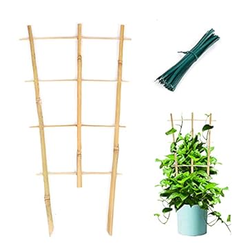 wood trellis for plants