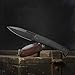 CIVIVI Cetos Folding Knife, 3.48-in 14C28N Blade Spear Point with Coarse Micarta Scale Flipper Knife Frame Lock, Pocket EDC Outdoor Knives for Camping, Hiking, Hunting C21025B-2